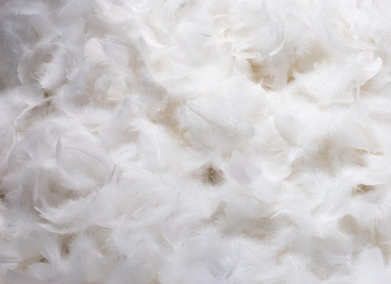 Recycled feather down is a sustainable option for insulation.