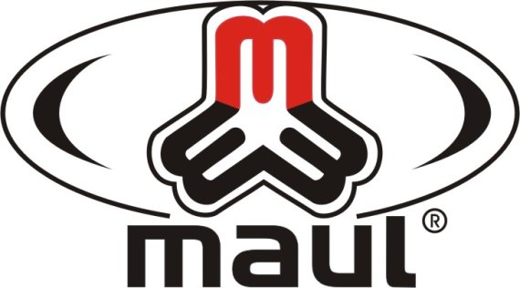 Logo von Ludwig Maul