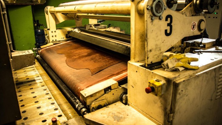 During many individual operations, the high-quality skin from european beef is made into bulk stock leather. The dyeing follows after the tanning, as seen in this picture. 