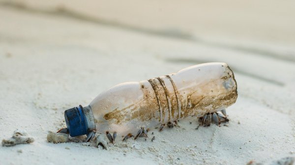 An old plastic bottle lies on the beach.