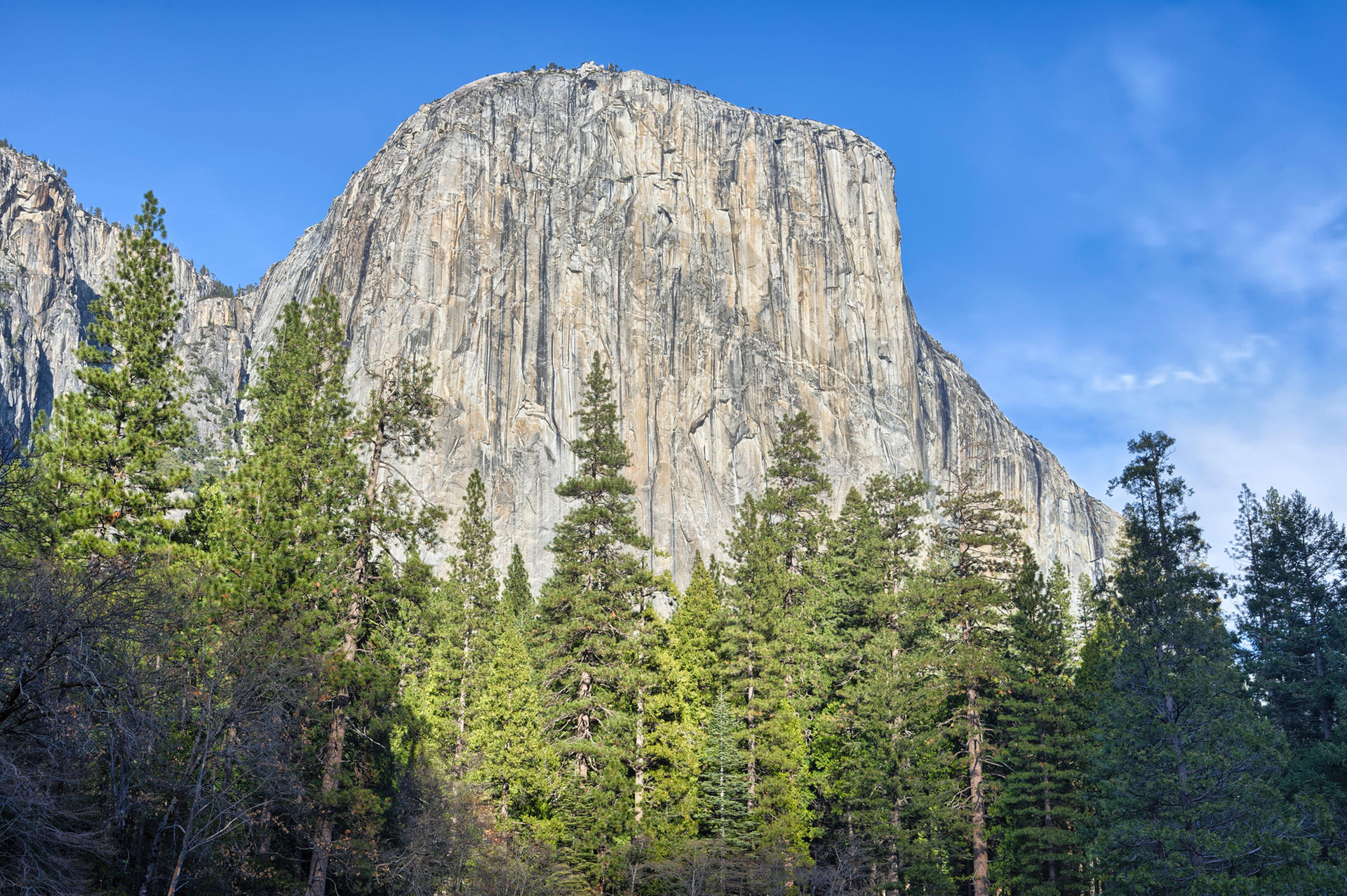 Irre Leistung Alex Honnold Bezwingt El Capitan Free Solo