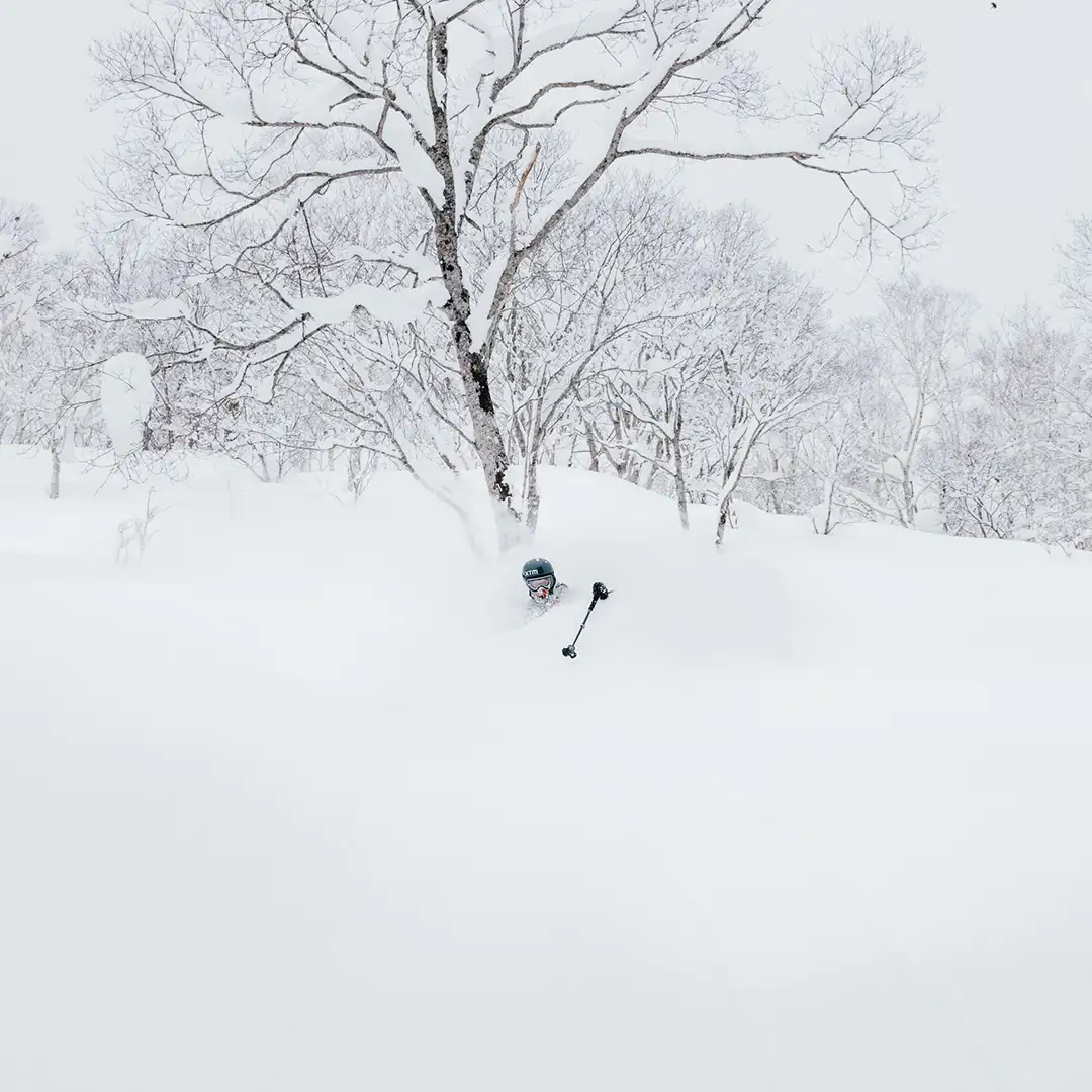 snow_4.png