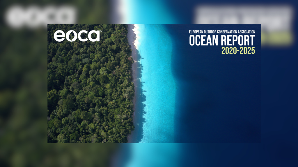 EOCA Ocean Report 2020-2025