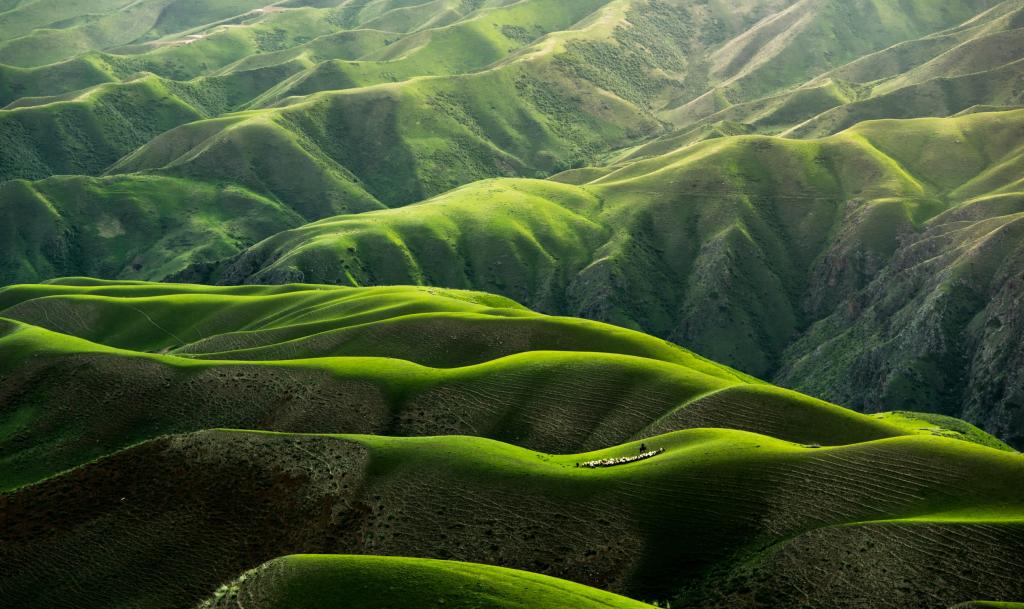 How do we design a circular future using natural materials?