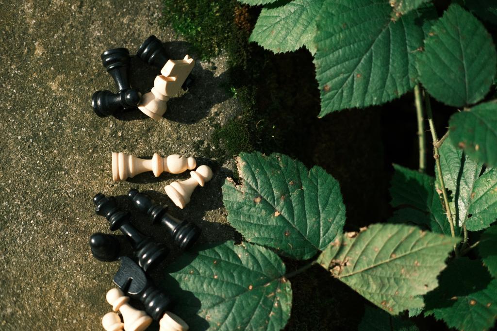 How "The Queen's Gambit" and streaming platforms have taken chess to a new level