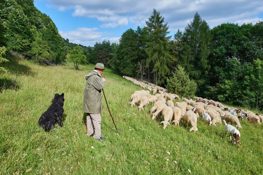 Biodegradable fashion: from mountain sports to biomass