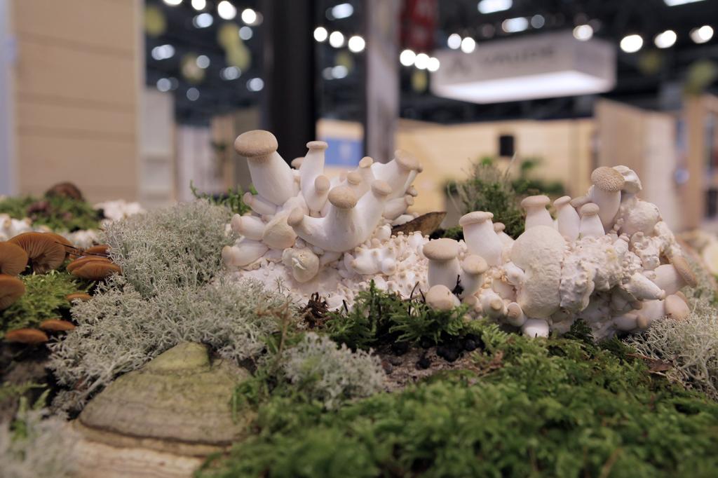 Material Lab – How to detoxify and decarbonize your products