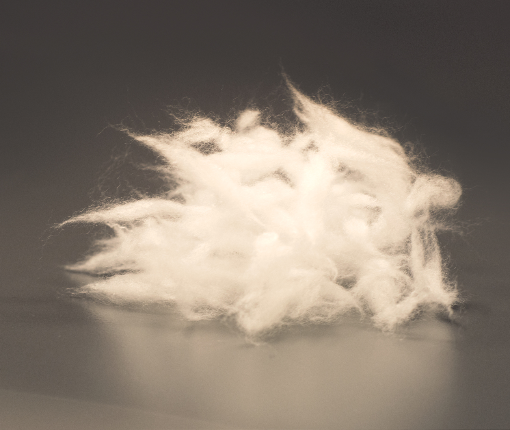 Quelle: PrimaLoft PrimaLoft® Black Insulation ThermoPlume®: So sieht ein Faserbüschel des Materials aus