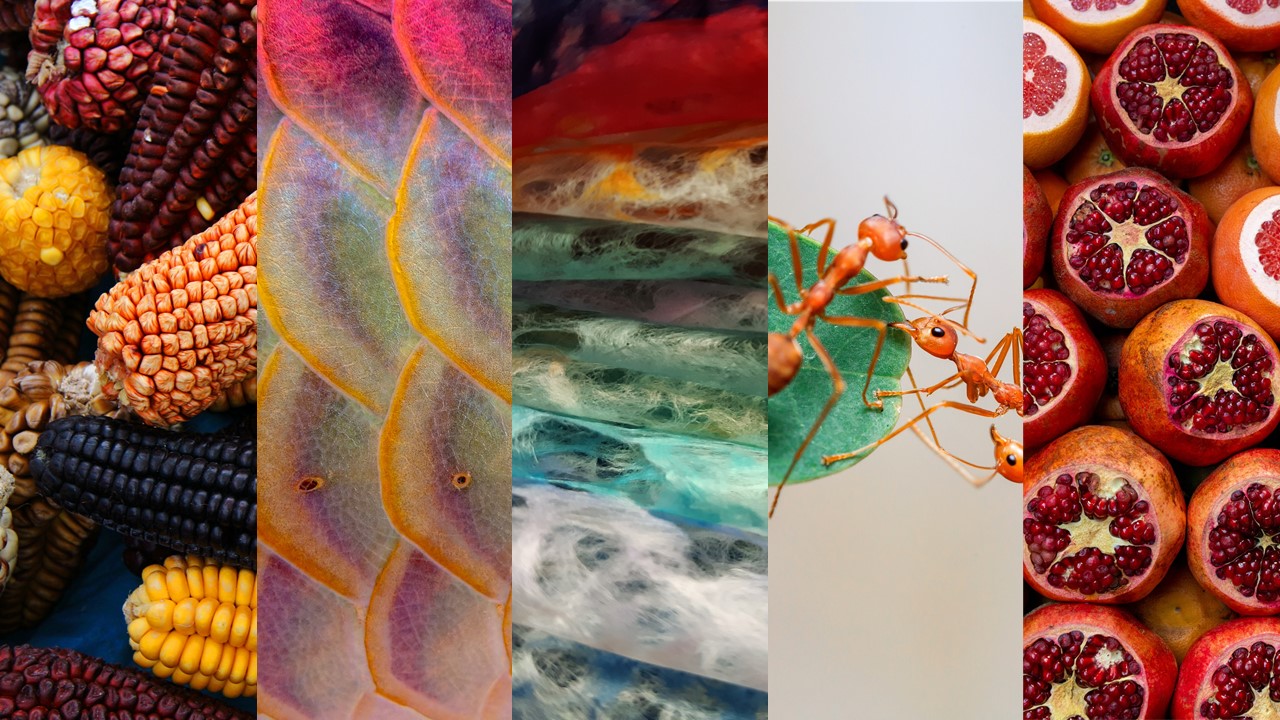 Textile Trends Spring/Summer 2023 - CHRYSALIS Textile Trends Spring/Summer 2023 - CHRYSALIS