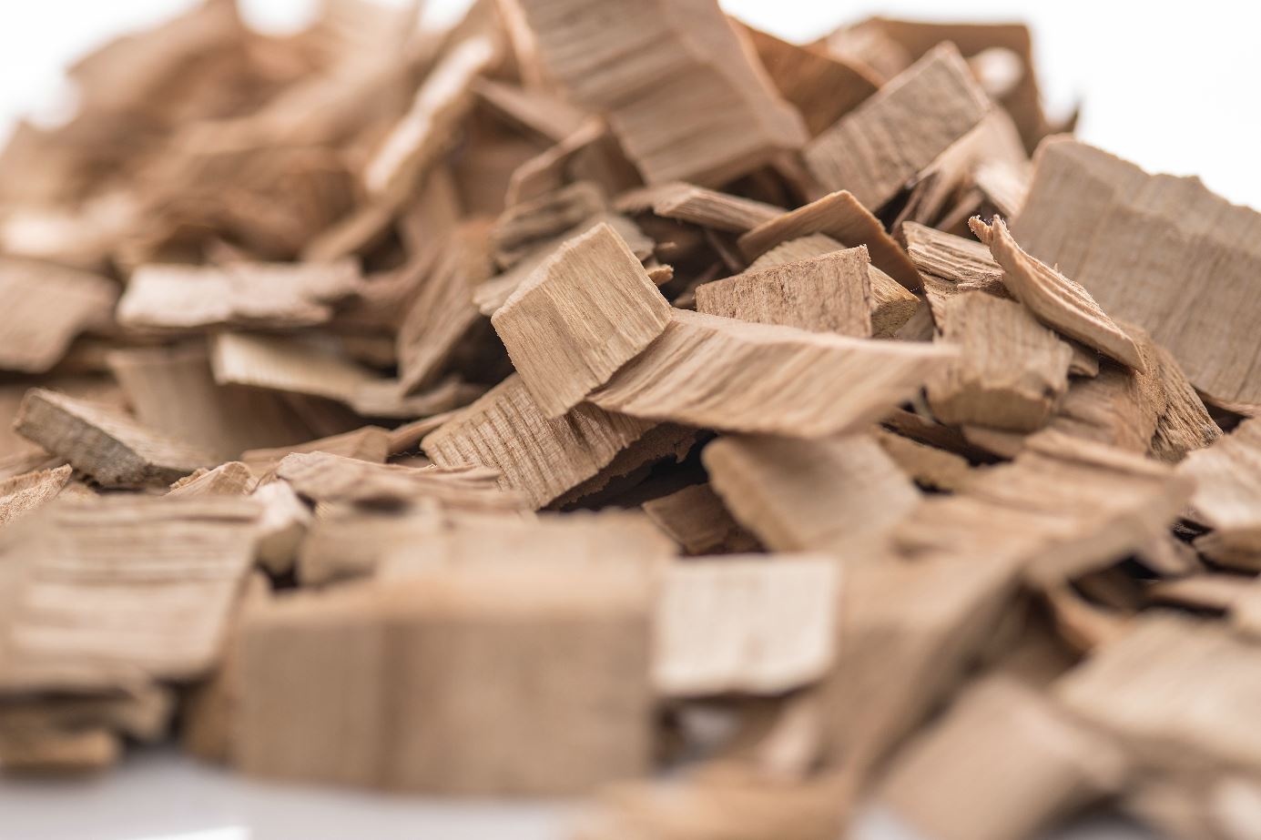 Die Lyocellfaser wird meist aus dem nachwachsenden Rohstoff Holz gewonnen. Holz