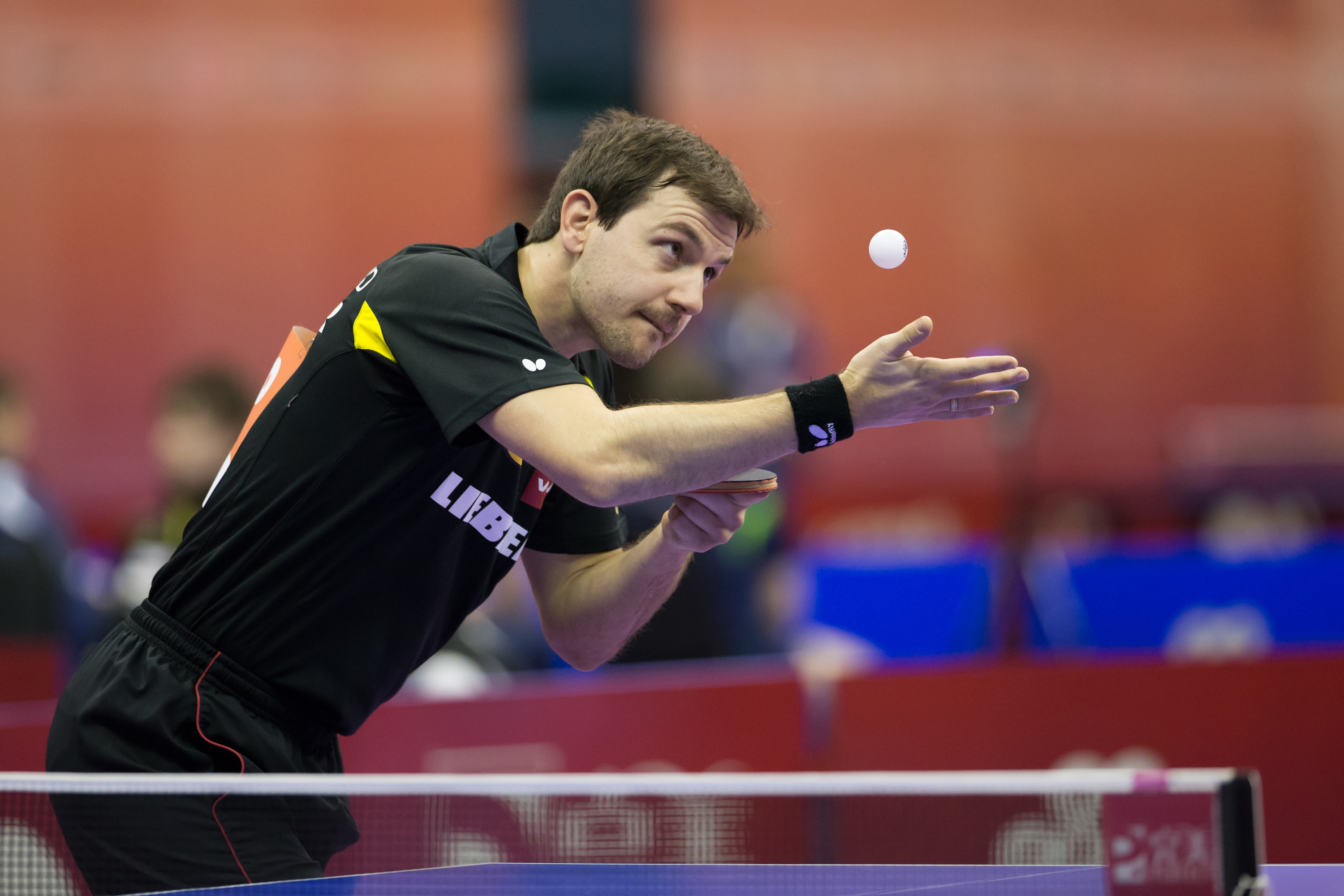 Timo Boll The table tennis titan