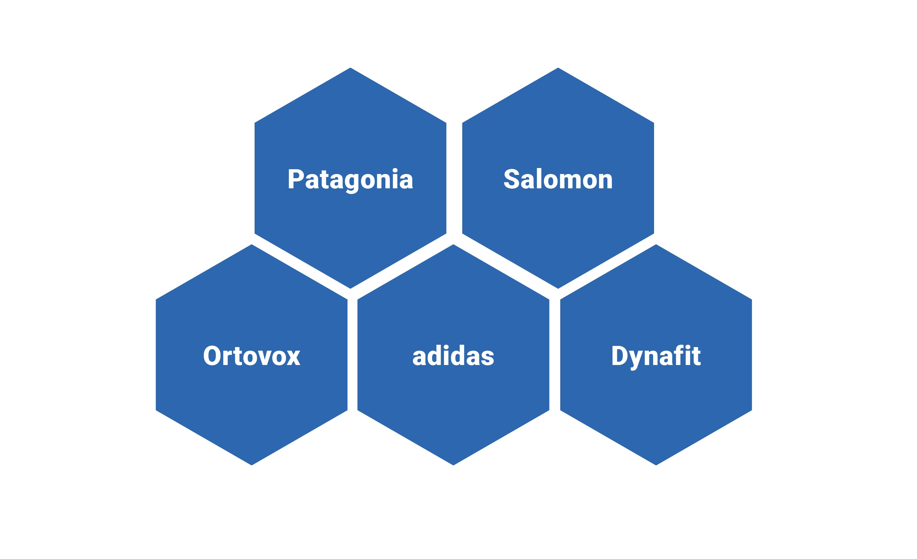 Top perfomer: Patagonia continues its winning streak