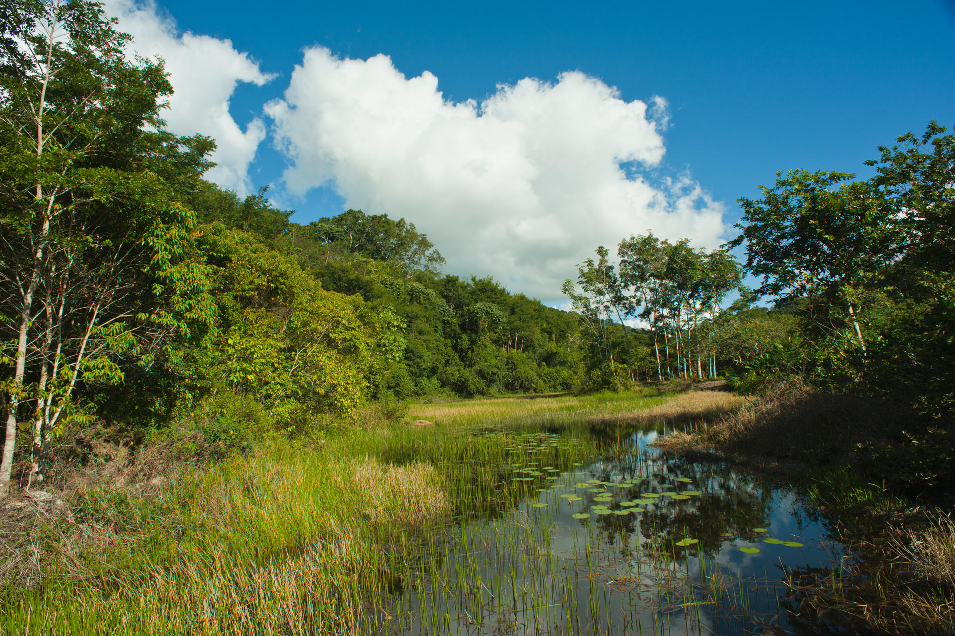 Vote: Which nature conservation project do you want to support?