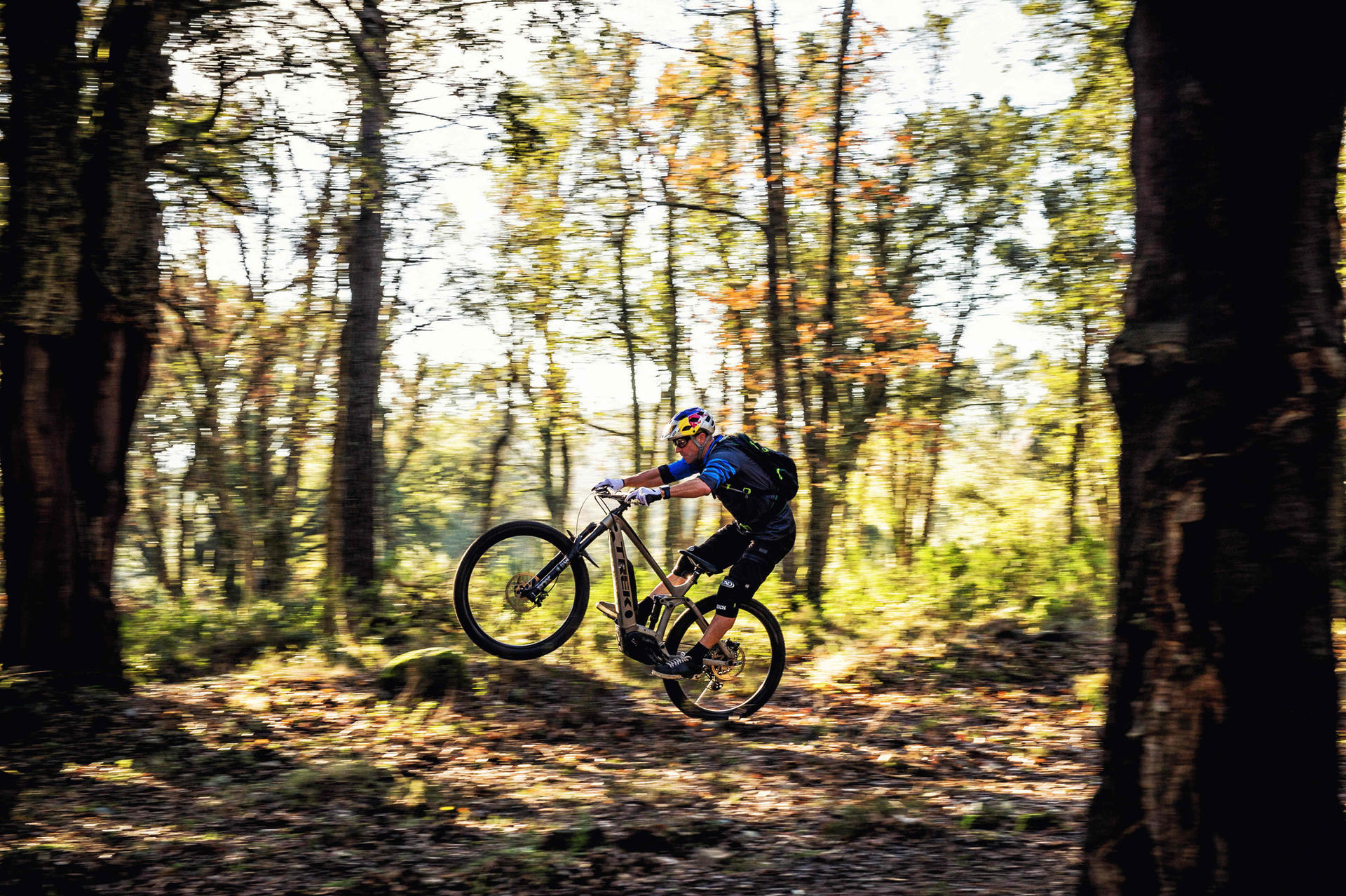 Bikes von Trekwald Ein Sportler ist mit seinem e mountainbike sportlich im Wald unterwegs