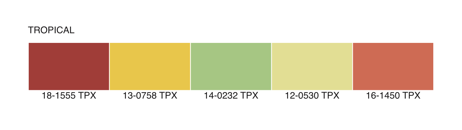 color trends palette tropical