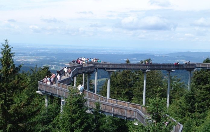 Waldwipfelweg Das Sind Die Schonsten Baumwipfelpfade In Deutschland