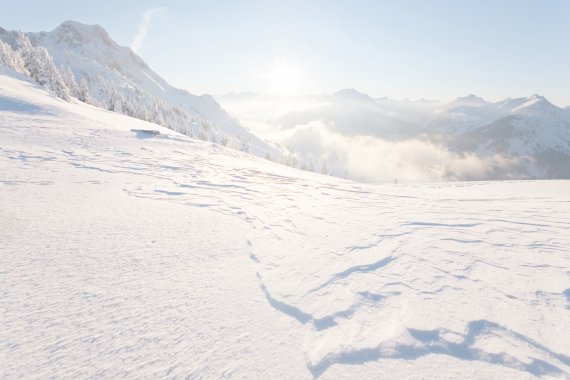 Ansicht eines verblasenen Tiefschneehangs ohne kontrastverstärkende Scheibe: Die Konturen verwischen.