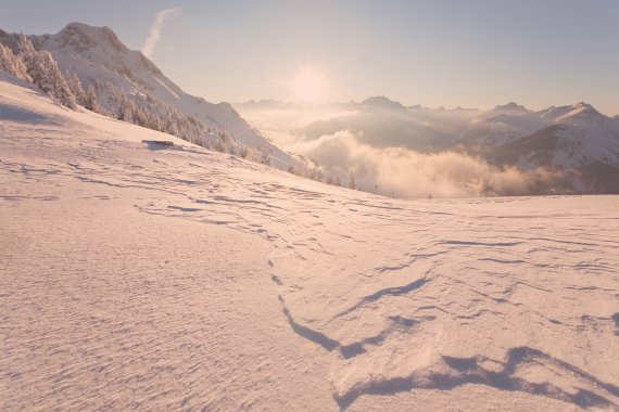 Blick auf den gleichen Tiefschneehang mit Quattroflex-Scheibe: Auch Details sind klar erkennbar. Die QHM-Technologie verstärkt diesen Effekt noch.