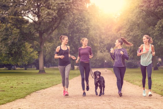 Vom Fitness-Studio auf die Straße: Urban Sportswear Vier Frauen und ein Hund joggen gemeinsam im Park