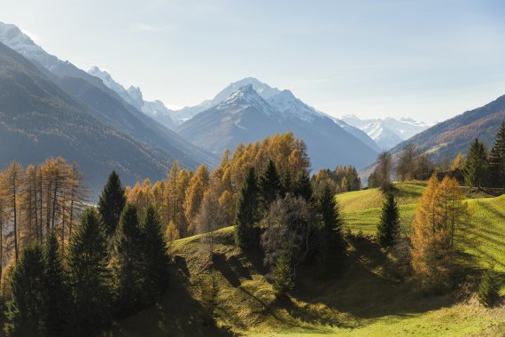 So traumhaft schön ist die Herbststimmung auf den Telfer Wiesen. So traumhaft schön ist die Herbststimmung auf den Telfer Wiesen.