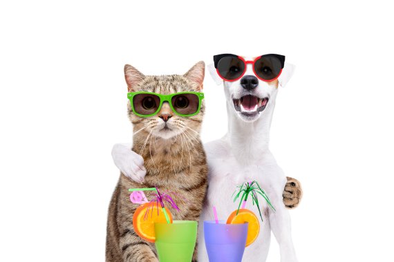 Fashion Trends 2022 Animals