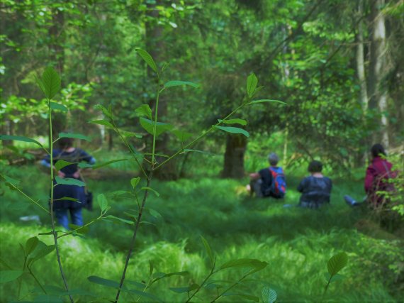 Auch auf Kinder hat der Wald positive Auswirkungen.