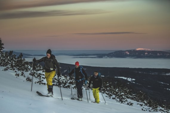 Gruppe Skitourengeher am Abhang