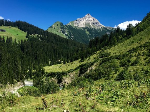 Wandertour durch das Grüne.