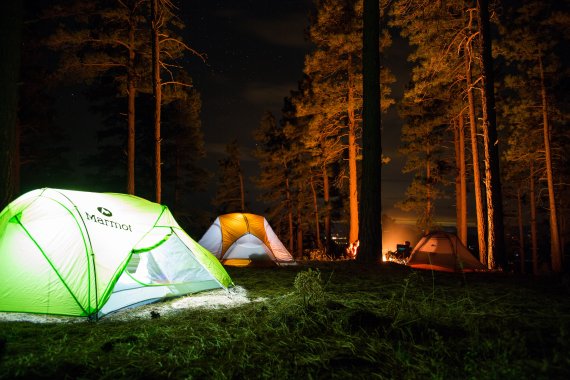Beleuchtete Zelte im Wald bei Nacht