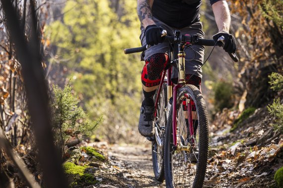 Mountainbiker*in im Wald