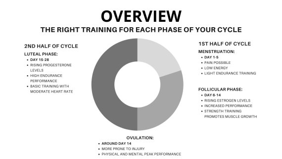 Grafik Zyklusbasiertes Training