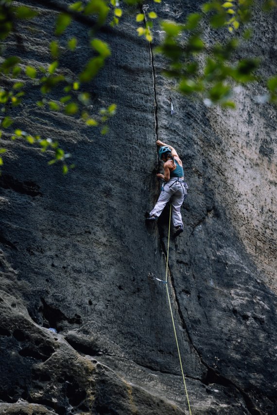 SPO Award Winner 2025: Mammut_2