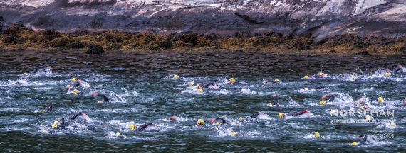 Athleten beim Schwimmen im Hardangerfjord.
