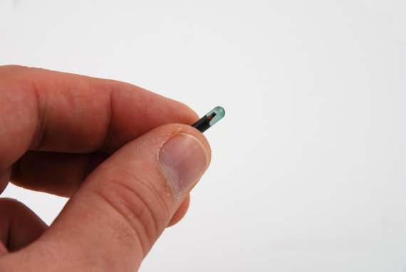 mb-160831-ThinkstockPhotos-99196249 Implantables, als Chip unter die Haut gespritzt