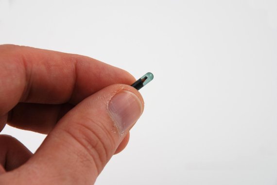 Implantables, als Chip unter die Haut gespritzt