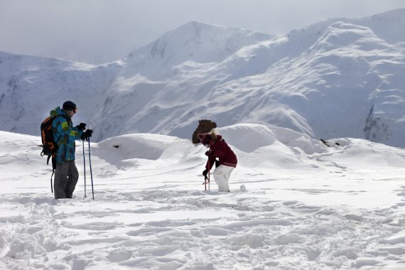 Schnee, Schnee, Schnee – beste Bedingungen für einen Tag auf Skiern 