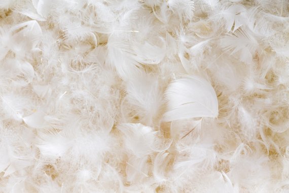 Most down and feathers collected by Re:Down come not from clothes, but from bedding.
