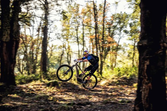 Ein Sportler ist mit seinem e mountainbike sportlich im Wald unterwegs