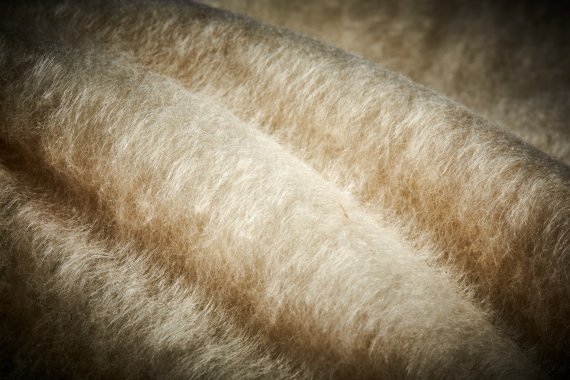 Recycled polyester and kapok insulation from Flocus. Recycled polyester and kapok insulation from Flocus.