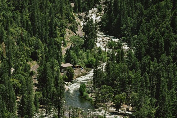 Environment and Forest Environment and Forest