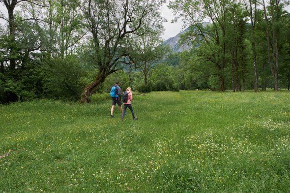 Sonja Greimel führt seit acht Jahren Kräuterwanderungen, hier am Kochelsee