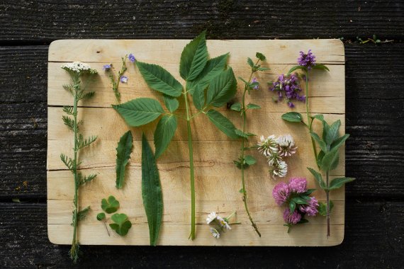 Result of the hike: a board with edible herbs 