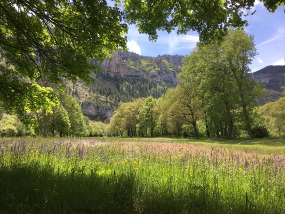 8 Campingplätze ohne Corona-Stress 8 Campingplätze ohne Corona-Stress