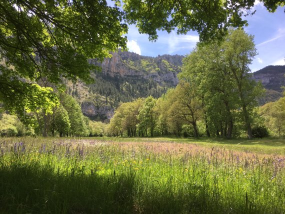 8 Campingplätze ohne Corona-Stress