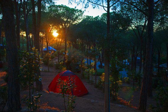 Idylle am Flussufer: Der Campingplatz Sosàlinos liegt in einem kleinen Kiefernwald