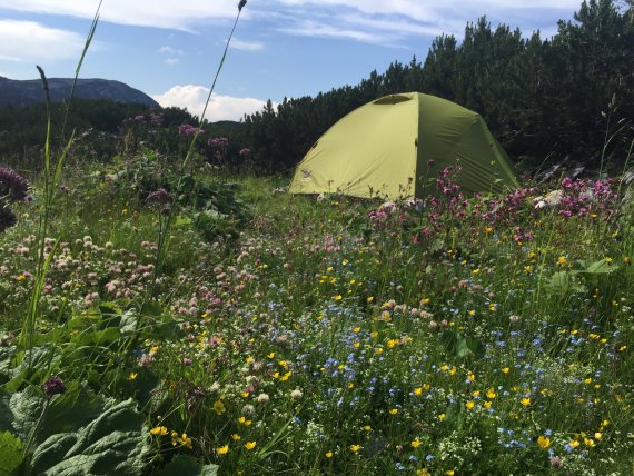Auf der Gjaid Alm geht's: Zelten in den Alpen
