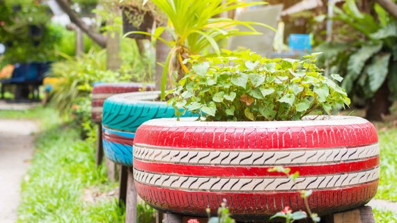Alte Autoreifen als Blumentopf Alte Autoreifen dienen im Garten als Blumentöpfe.