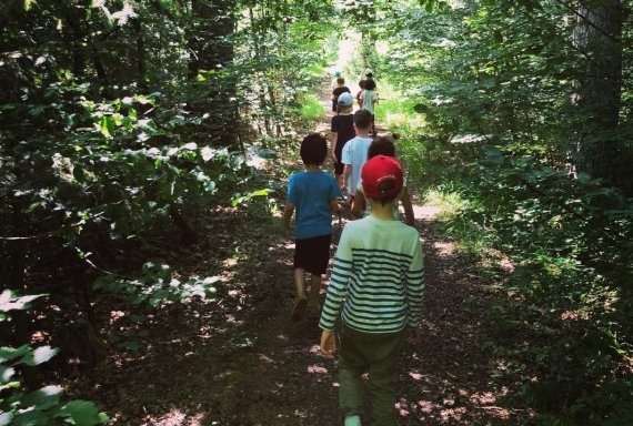 Green wherever you look: Kids can find themselves in the forest. Green wherever you look: Kids can find themselves in the forest.