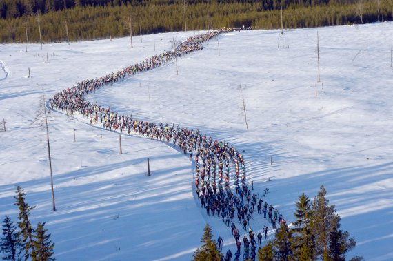 Der Wasalauf durch die schwedischen Wälder ist einer der Höhepunkte im Skilanglaufsport.