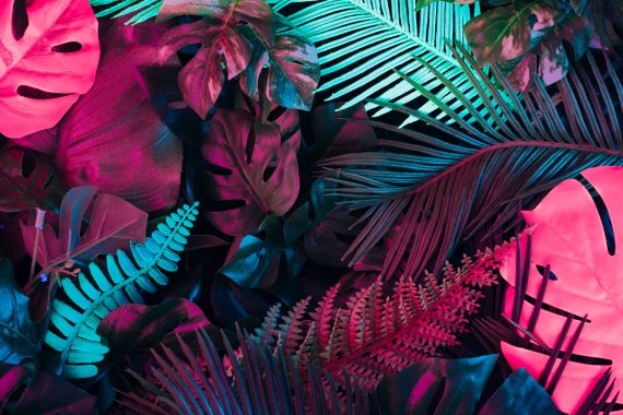 Color Palette Spring/ Summer 2022 SYMPHONY Color Palette Spring/ Summer 2022 SYMPHONY
